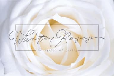 Bottle Font by Rt Creative — Script Handwritten Font — thumbnail 3