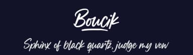 Boucik by Balpirick Studio — Script Handwritten Font — thumbnail 2