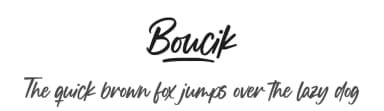 Boucik by Balpirick Studio — Script Handwritten Font — thumbnail 1