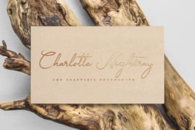 Boudelaire Font by Chocotype — Script Handwritten Font — thumbnail 7