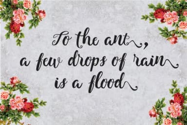 Bougainvillea Font by Alqawoms — Script Handwritten Font — thumbnail 8