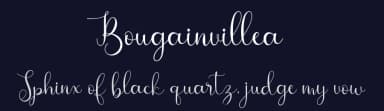 Bougainvillea by Fanastudio — Script Handwritten Font — thumbnail 2
