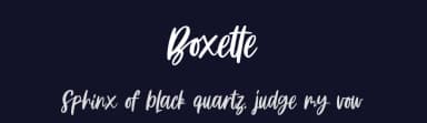 Boxette by Four Lines — Script Handwritten Font — thumbnail 2