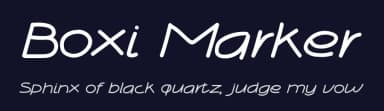Boxi Marker by Dedisain Studio — Script Handwritten Font — thumbnail 2