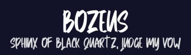 Bozeus by Skiiller Studio — Script Handwritten Font — thumbnail 2