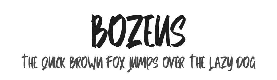 Bozeus by Skiiller Studio — Script Handwritten Font