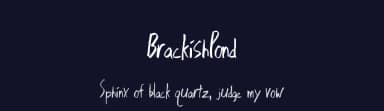 BrackishPond by Xerographer Fonts — Script Handwritten Font — thumbnail 2