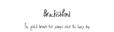 BrackishPond by Xerographer Fonts — Script Handwritten Font — thumbnail 1