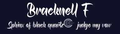 Bracknell F by RaisProject — Script Handwritten Font — thumbnail 2