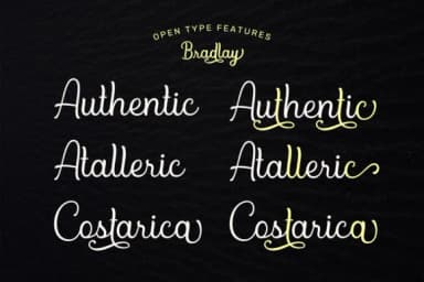 Bradlay Font by sabrcreative — Script Handwritten Font — thumbnail 2