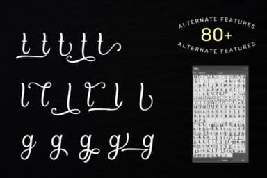 Bradlay Font by sabrcreative — Script Handwritten Font — thumbnail 3