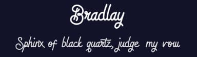 Bradlay by belovestudio — Script Handwritten Font — thumbnail 2