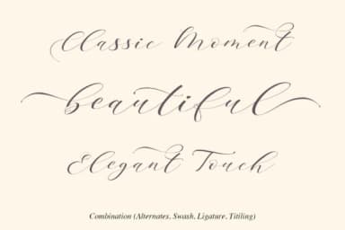 Brainlove Script Font by aldedesign — Script Handwritten Font — thumbnail 6