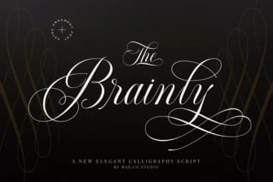 Brainly Font by Max.co Studio — Script Handwritten Font — thumbnail 1