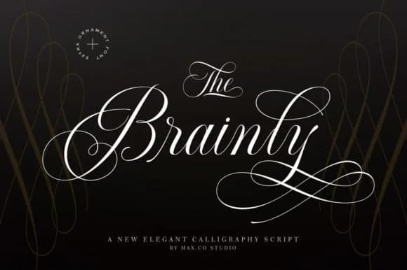 Brainly Font by Max.co Studio — Script Handwritten Font