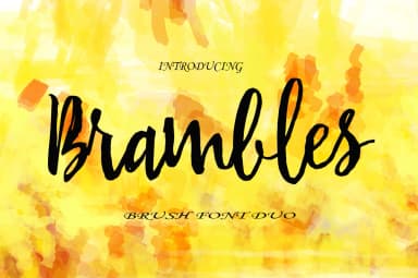 Brambles Font by Polem — Script Handwritten Font — thumbnail 1