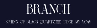 Branch by Zeenesia Studio — Serif Font — thumbnail 2