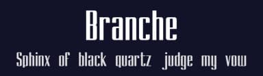 Branche by Typo Bureau Studio — Sans Serif Font — thumbnail 2