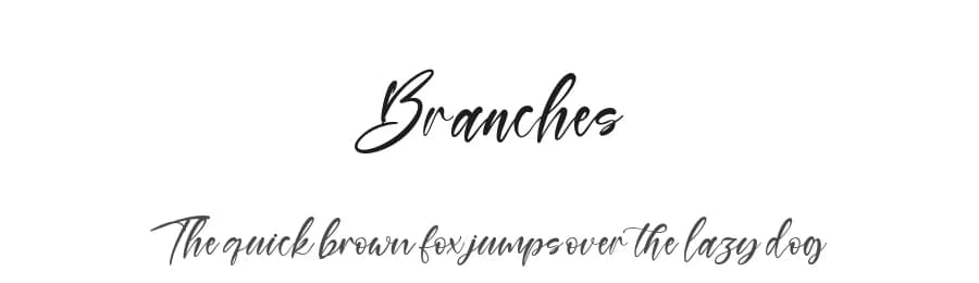 Branches by Kong Font — Script Handwritten Font