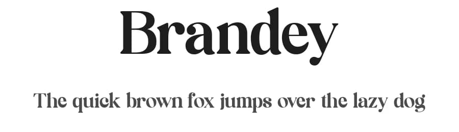 Brandey by Sign Studio — Serif Font