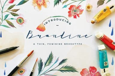 Brandine Font by Blue Robin Design Shop — Script Handwritten Font — thumbnail 1