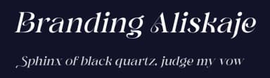 Branding Aliskaje by Storytype Studio — Sans Serif Font — thumbnail 2