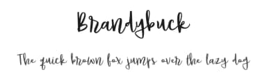Brandybuck by Brittney Murphy Design — Script Handwritten Font — thumbnail 1