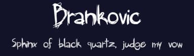 Brankovic by Amy VanTorre — Script Handwritten Font — thumbnail 2