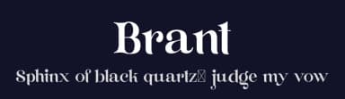 Brant by FactoryType — Serif Font — thumbnail 2