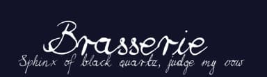 Brasserie by Aga Silva — Script Handwritten Font — thumbnail 2