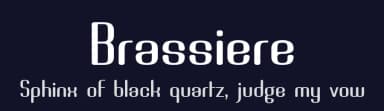 Brassiere by Apostrophic Labs — Sans Serif Font — thumbnail 2