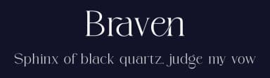 Braven by ToniStudio — Serif Font — thumbnail 2