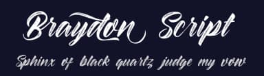 Braydon Script by Debut Studio — Script Handwritten Font — thumbnail 2