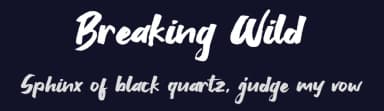 Breaking Wild by Khurasan — Script Handwritten Font — thumbnail 2
