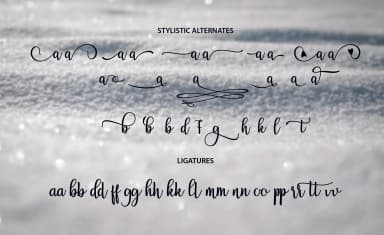 Breathaking Script Font by zulkhairilettering — Script Handwritten Font — thumbnail 3