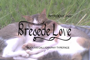 Bregede Love Font by AsaharStudio — Script Handwritten Font — thumbnail 1
