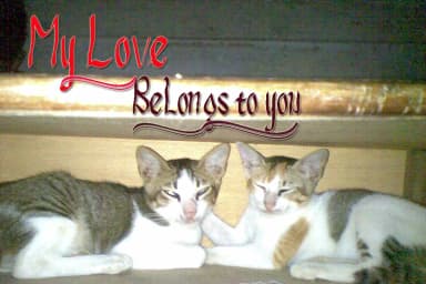 Bregede Love Font by AsaharStudio — Script Handwritten Font — thumbnail 4