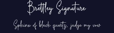 Brettley Signature by Letterfly Studio — Script Handwritten Font — thumbnail 2