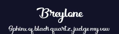 Breylone by Skinny Type — Script Handwritten Font — thumbnail 2