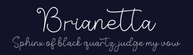 Brianetta by AEN Creative Studio — Script Handwritten Font — thumbnail 2