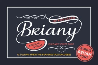 Briany Font by Andrian Dehasta — Script Handwritten Font — thumbnail 1