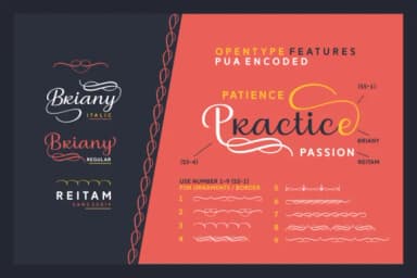 Briany Font by Andrian Dehasta — Script Handwritten Font — thumbnail 5