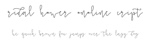 Bridal Shower Monoline Script by Out of Step Font Company — Script Handwritten Font