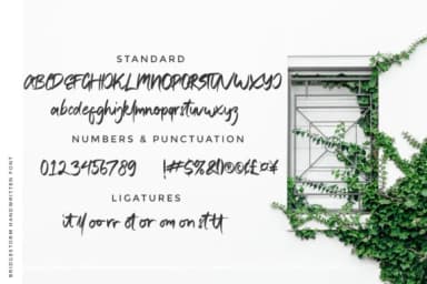 Bridgestorm Font by Moonstone Co — Script Handwritten Font — thumbnail 6