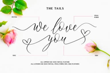 Bridgesty Font by motokiwo — Script Handwritten Font — thumbnail 5