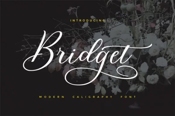 Bridget Script Font by Cooldesignlab — Script Handwritten Font