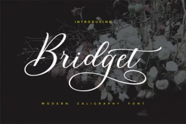 Bridget Script Font by Cooldesignlab — Script Handwritten Font — thumbnail 1