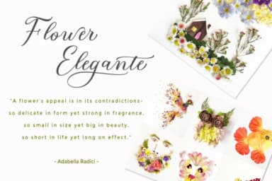 Bridget Script Font by Cooldesignlab — Script Handwritten Font — thumbnail 2