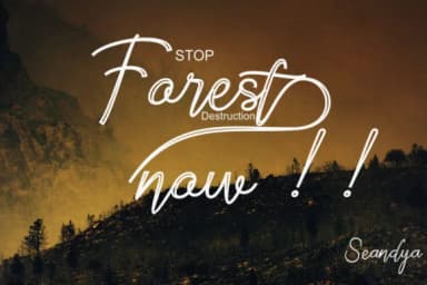 Brieghent Font by sapre.studio — Script Handwritten Font — thumbnail 8