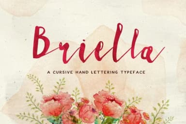 Briella Font by Blue Robin Design Shop — Script Handwritten Font — thumbnail 1